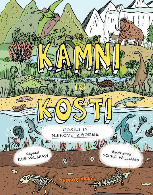 KAMNI IN KOSTI