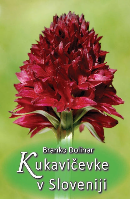 KUKAVIČEVKE V SLOVENIJI