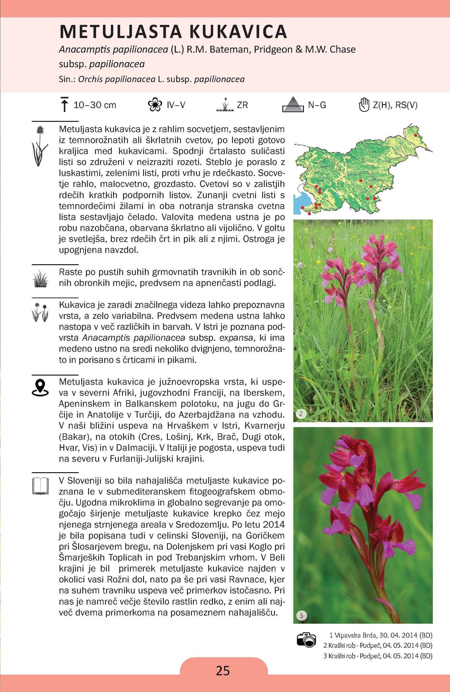 KUKAVIČEVKE V SLOVENIJI