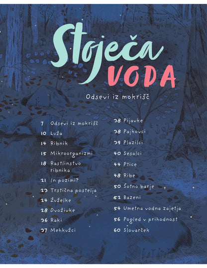 STOJEČA VODA