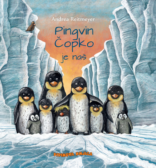 Pingvin Čopko je naš
