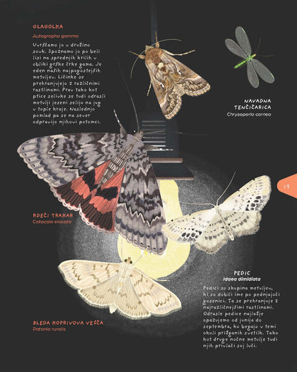 SVETLOBA: Kdo je skril zvezde?